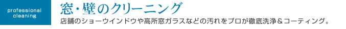 窓ガラスクリーニング