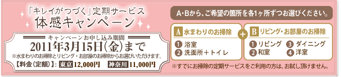 キレイがつづく定期サービスキャンペーン