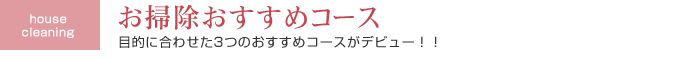 お掃除おすすめコース