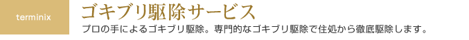 ゴキブリ駆除サービス
