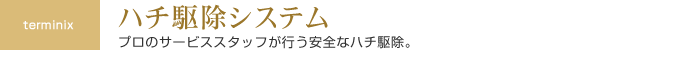 ハチ駆除システム