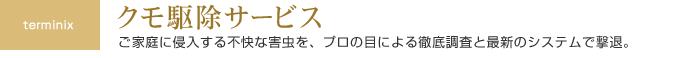 クモ駆除サービス