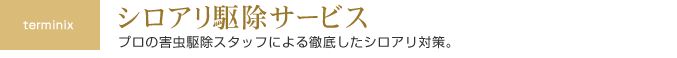 シロアリ駆除サービス
