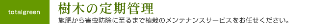 庭木・樹木の管理