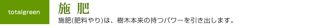 施肥(肥料やり)