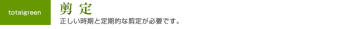 剪定