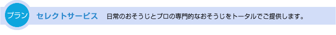 セレクトサービス　日常のおそうじとプロの専門的なおそうじをトータルでご提供します。