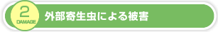 外部寄生虫による被害