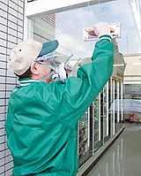 ガラス面防虫サービスについて