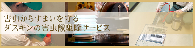 定期的にお宅を訪問し、お掃除を中心に日常の家事を代行します