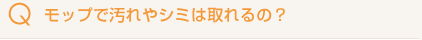 bvŉV~͎́H