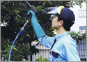 樹木の薬剤散布